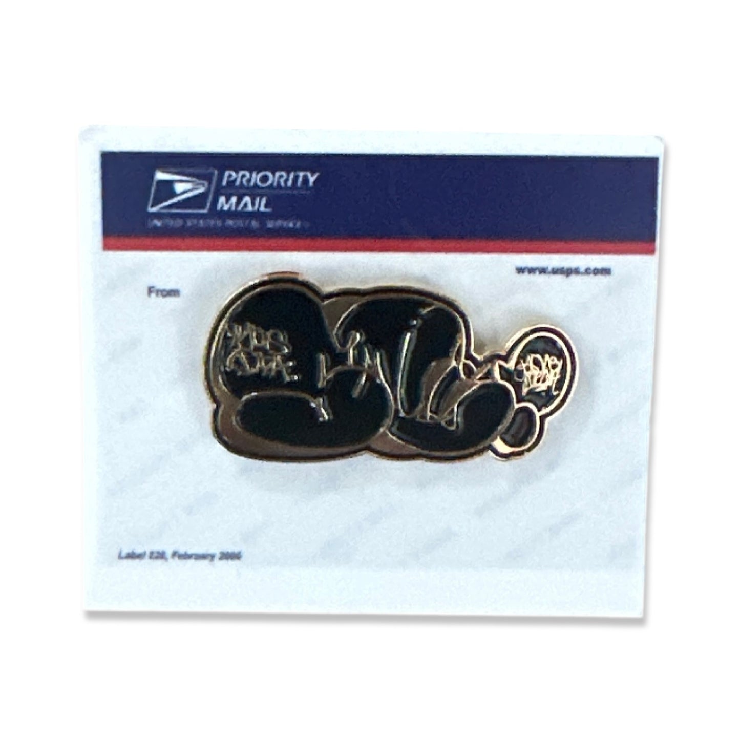 PINS